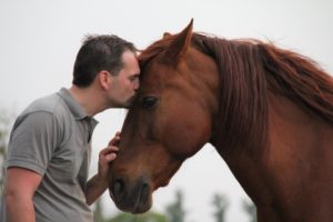 cursus Autisme en Paardencoaching